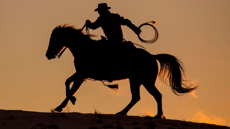 The Surprisingly Peaceful Wild West