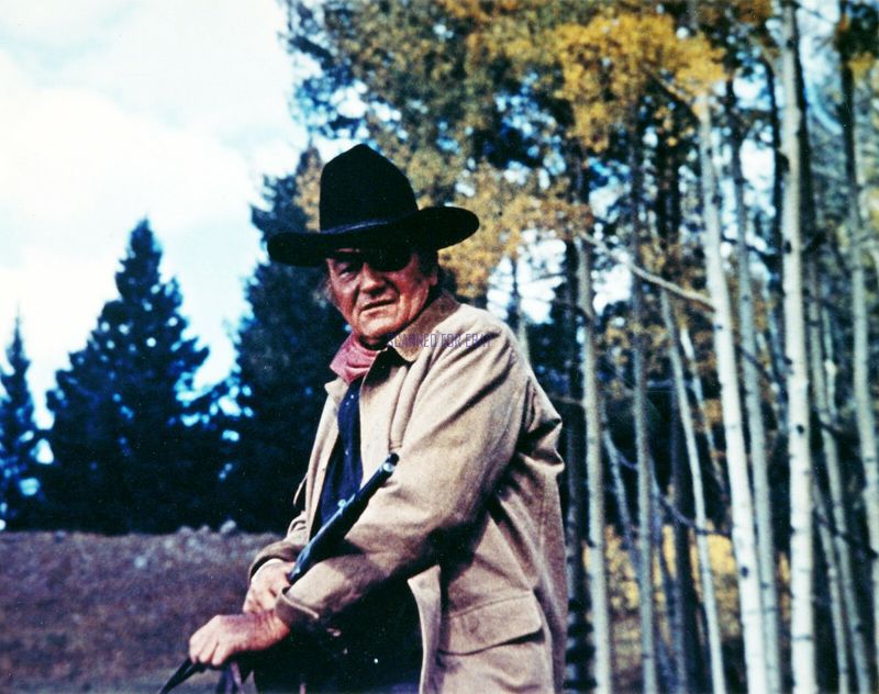 True Grit (1969) - The One-Eyed Marshal