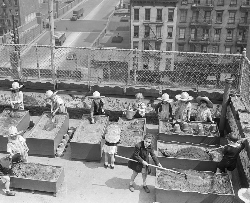 City Dwellers Turned Rooftops and Empty Lots Into Gardens