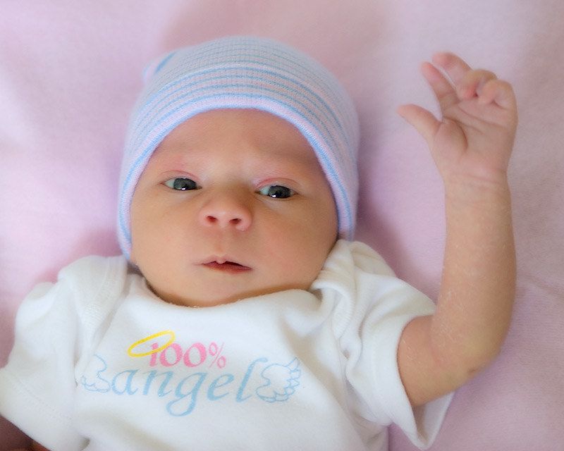 Isabella