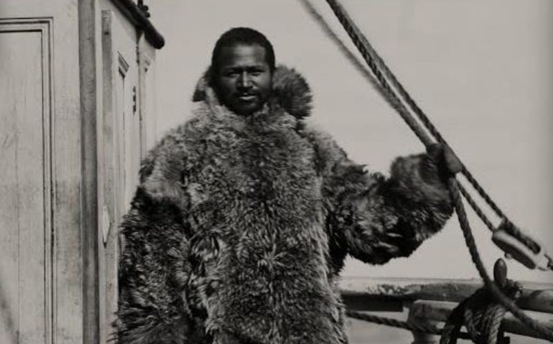 Arctic Survival Mastermind