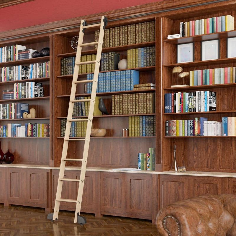Library Ladders on Rails