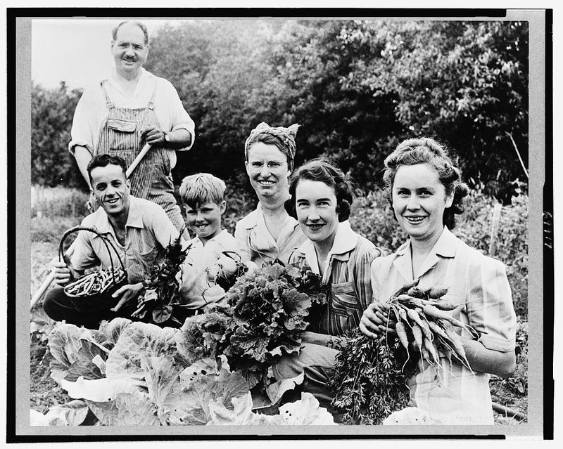 Community Gardens Flourished