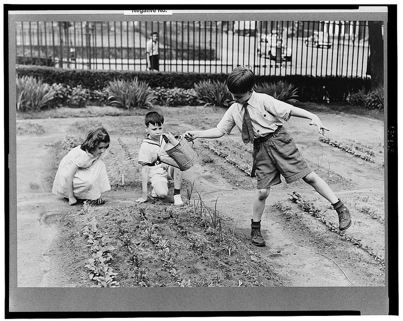 Children Had Their Own Victory Gardens