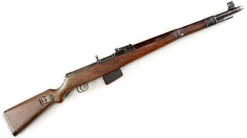 Gewehr 41 (W and M variants) (Germany)