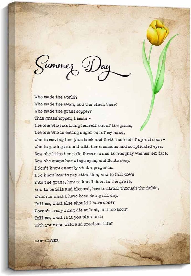 The Summer Day