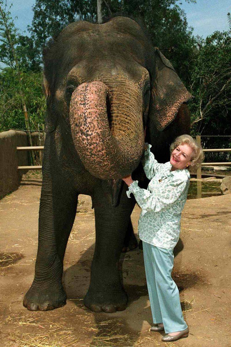 Lifelong Animal Welfare Champion