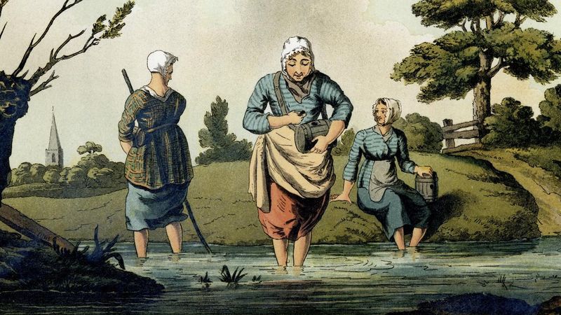 Leech Collector