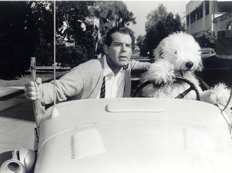 The Shaggy Dog (1959 & 2006)
