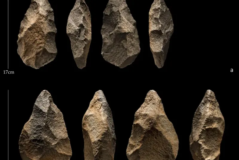 Tool Use Predates Homo sapiens