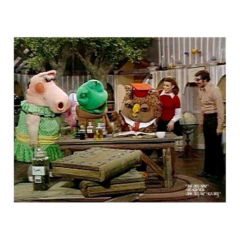 The New Zoo Revue