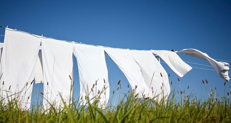 Line-Drying Laundry