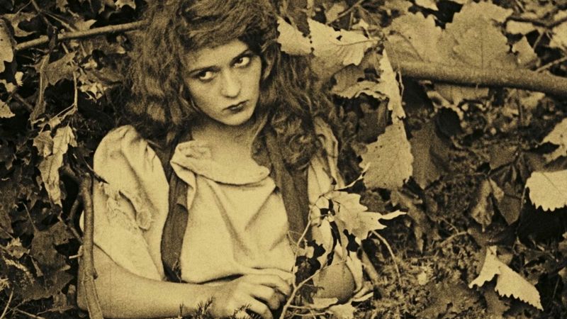 Fanchon the Cricket (1915)
