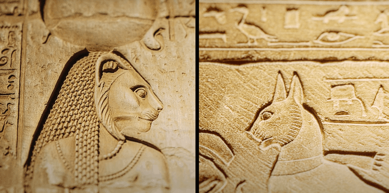 Egyptians Worshipped Cats Like Gods