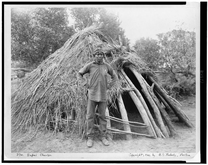 Brush Shelter (Wickiup)
