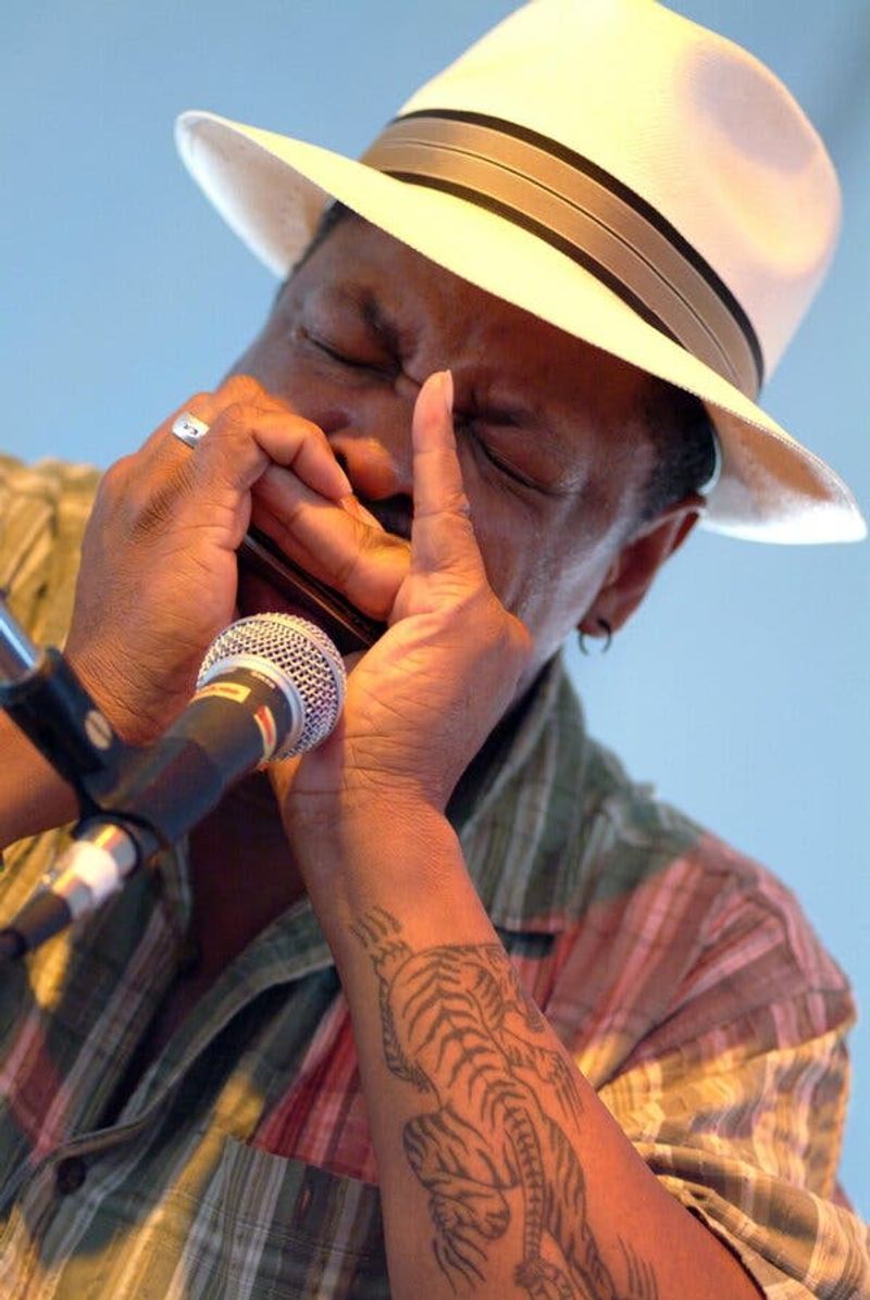Phil Wiggins, American Blues Musician, 2024