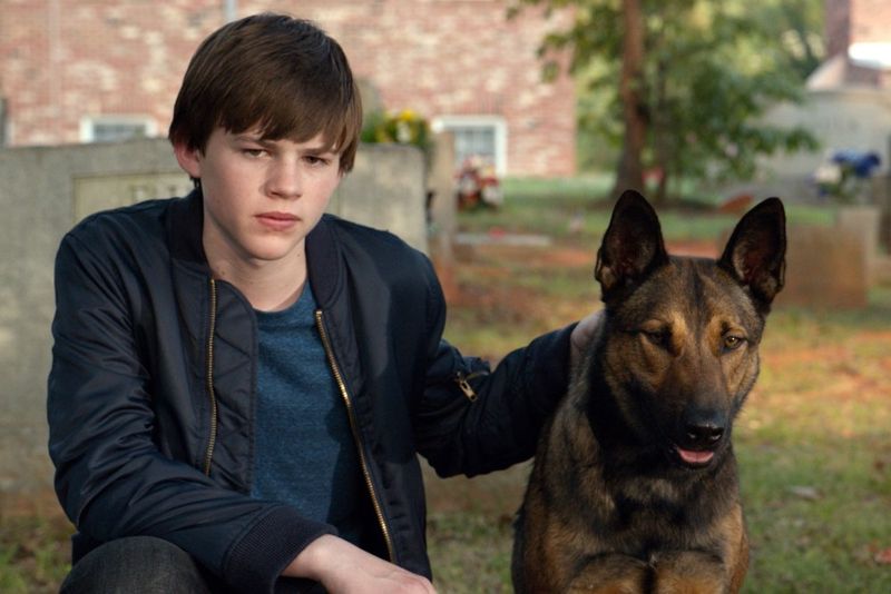 Max (2015)