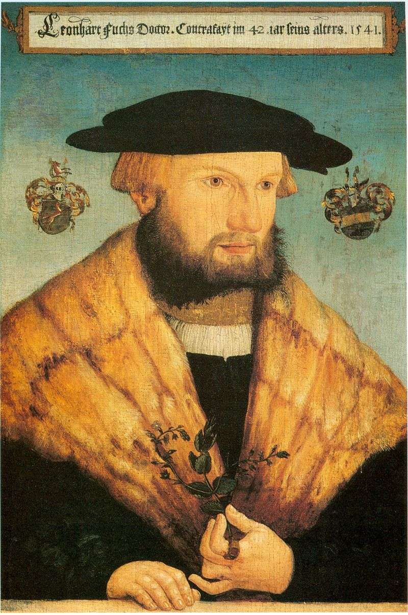 Leonhart Fuchs, German Physician and Botanist, 1566