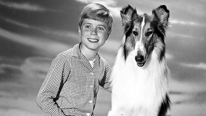 Lassie (1954–1973)
