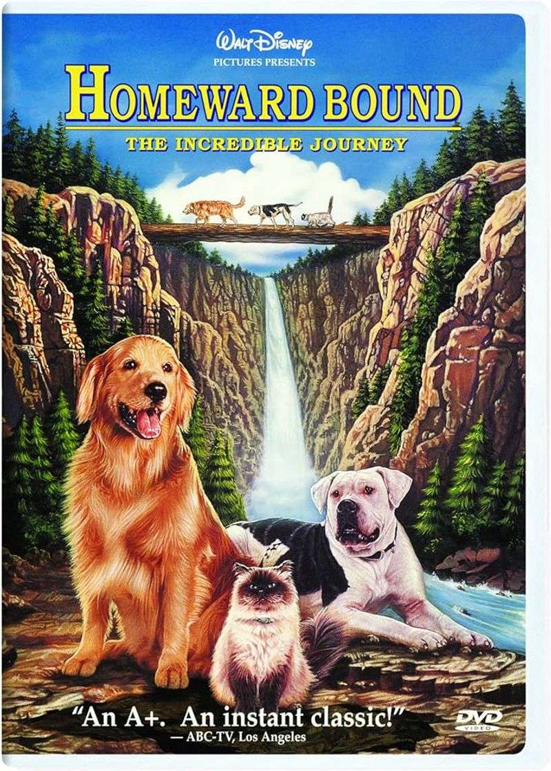 Homeward Bound: The Incredible Journey (1993)