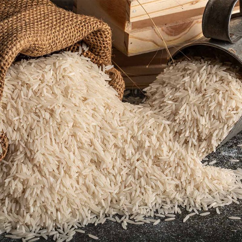 Rice (10,000+ years old)