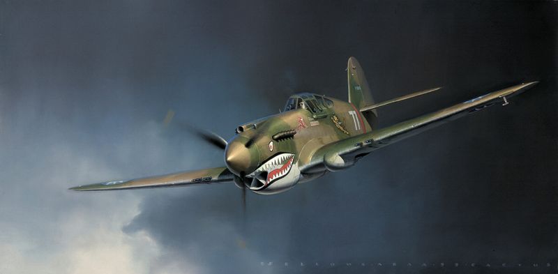 Curtiss P-40 Warhawk