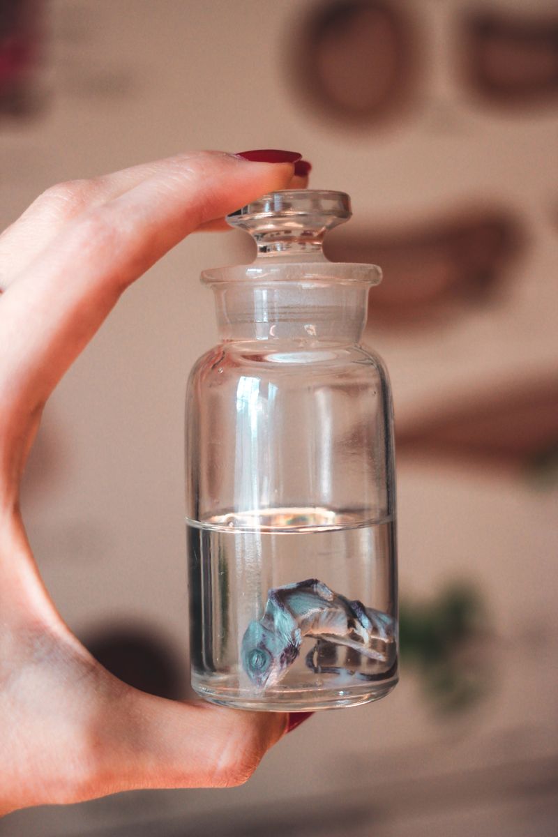 Live Critters in Jars