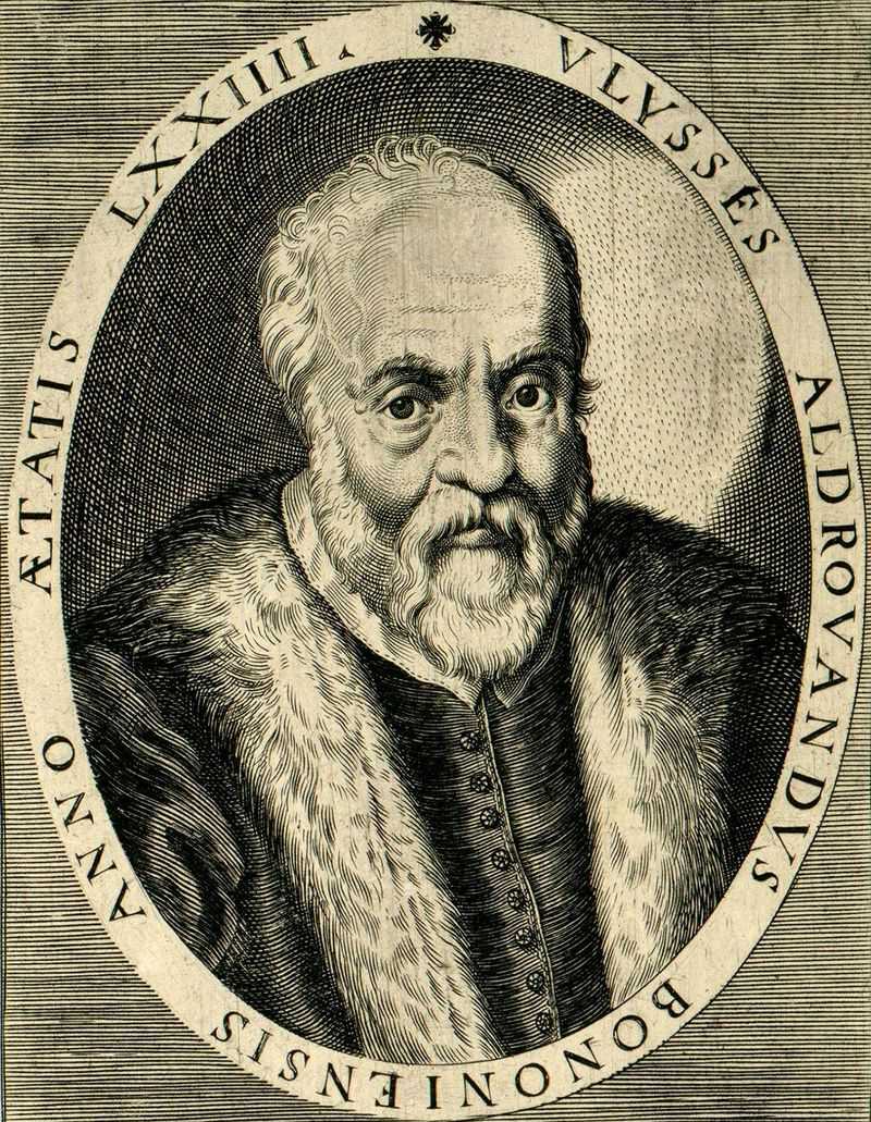 Ulisse Aldrovandi, Italian naturalist and biologist, 1605