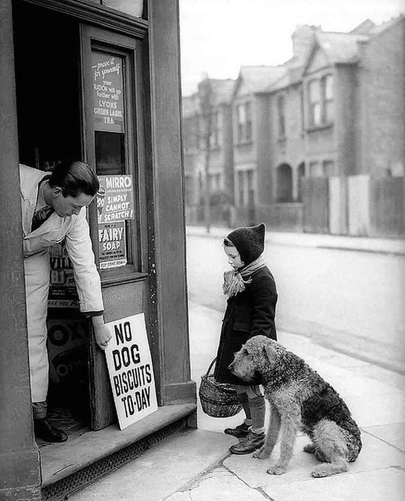 “No dog biscuits today” sign in London (1939)