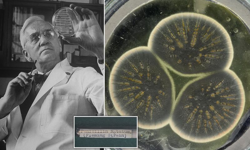 Alexander Fleming (1881–1955)