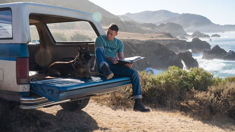 Dog (2022)