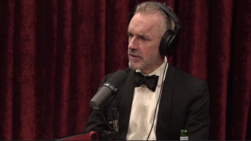 Jordan Peterson's Controversial Views
