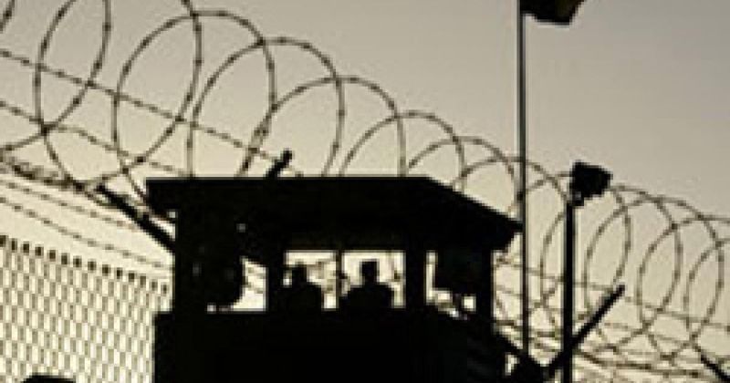 86% Released Without Charges