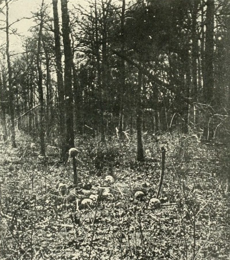 Beginning of the Overland Campaign