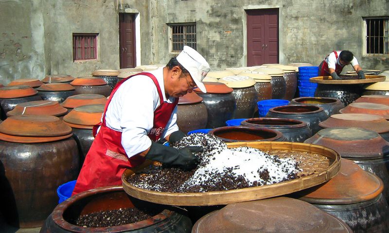 Fermented Soy (3,000+ years old)