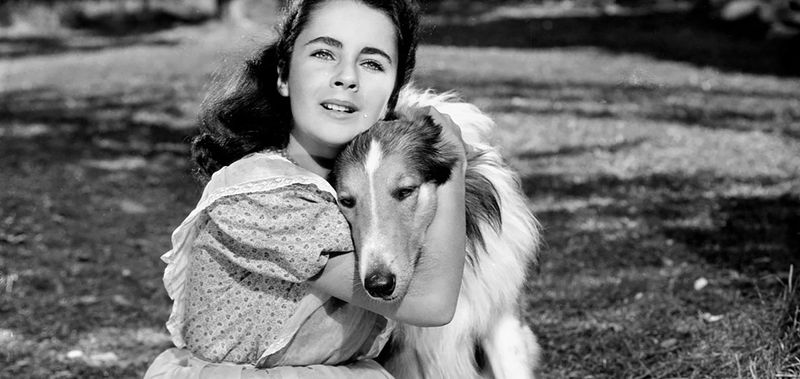 Lassie Come Home (1943)
