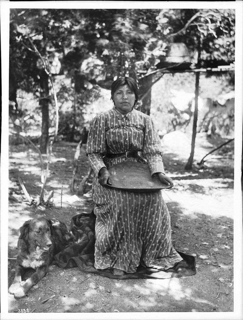 Paiute Basket Weaver, Nevada (1930s) – Hands Shaping History