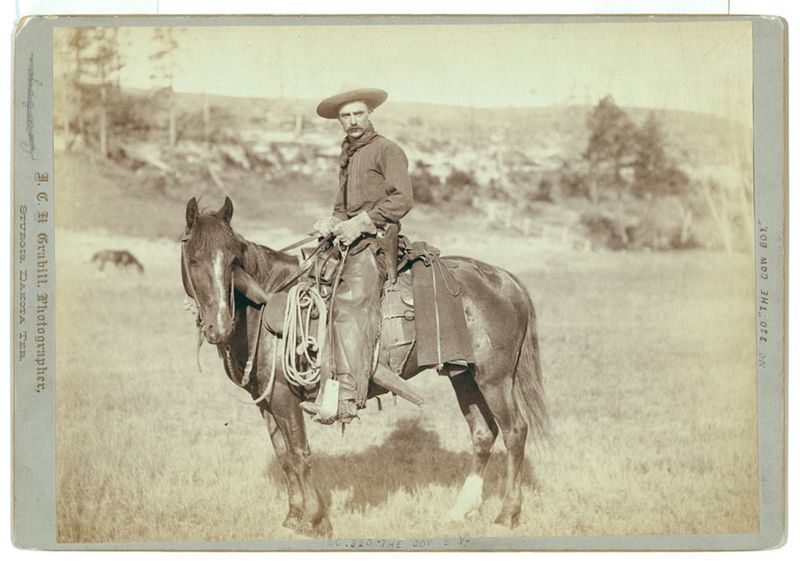 Everyone Rode Horses All the Time