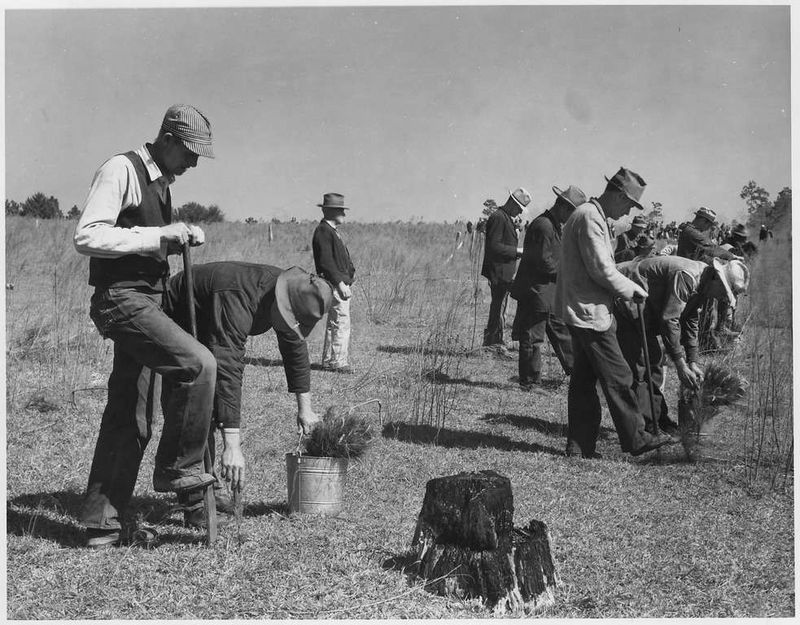 Agricultural Sector Collapse