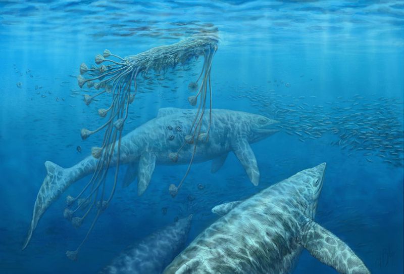 Shastasaurus