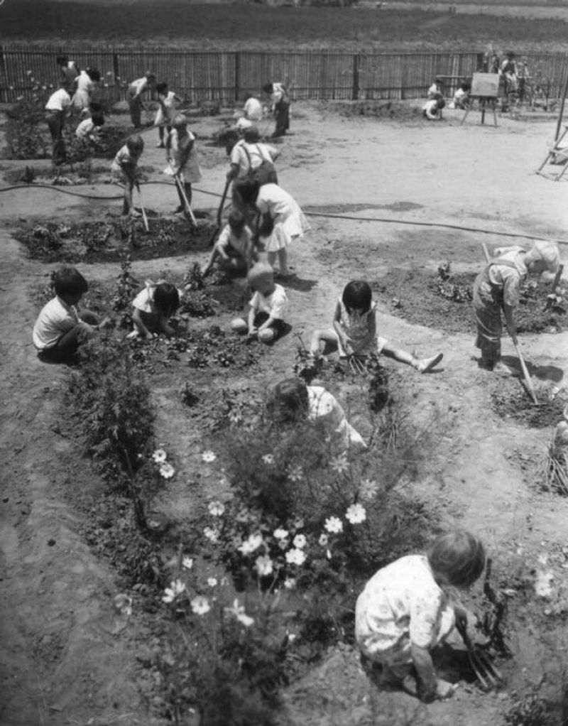 Chickens and Rabbits Were Common in Victory Yards