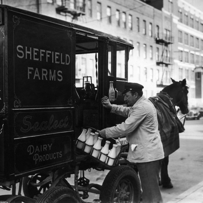 Milk Delivery Service