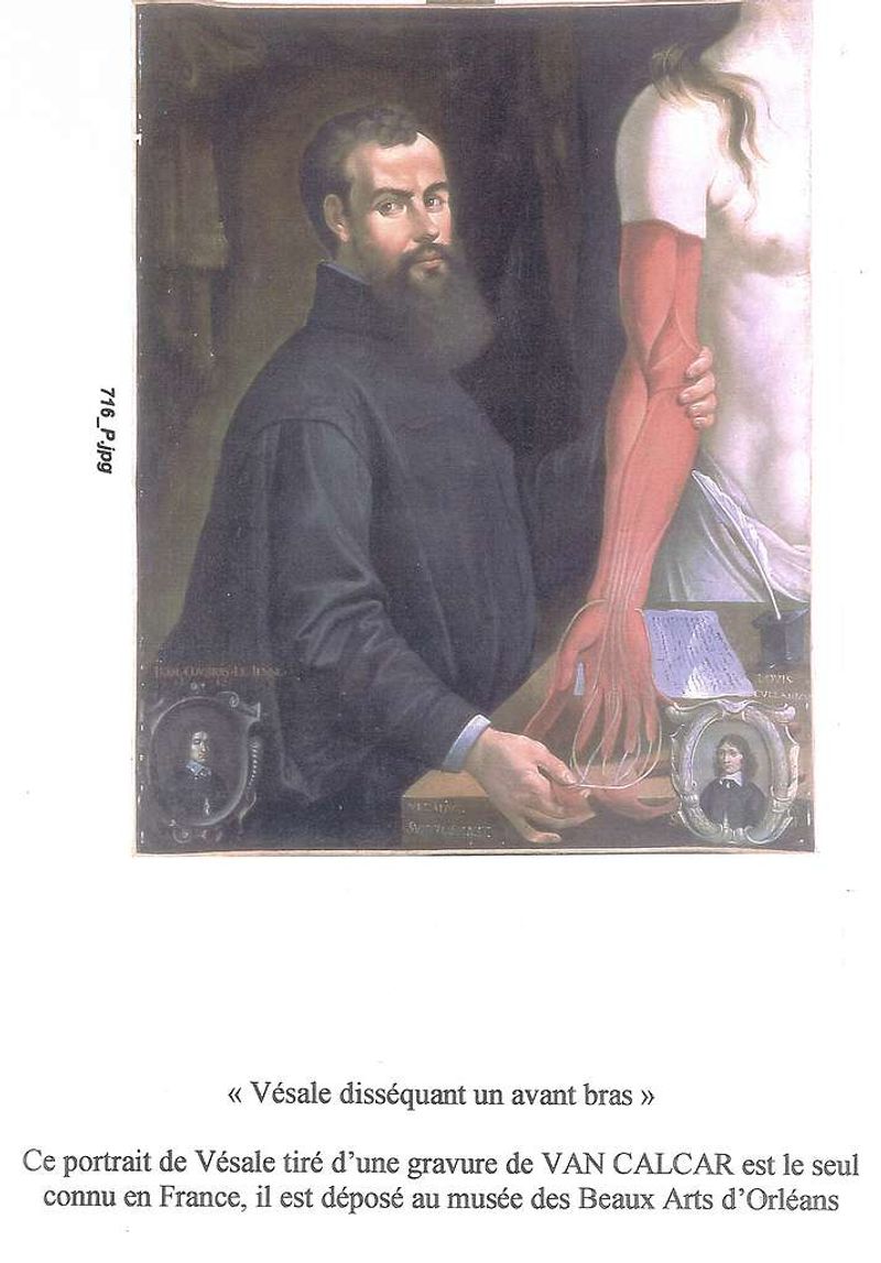 Eye-Change Observation – Jacques Guillemeau (16th century)