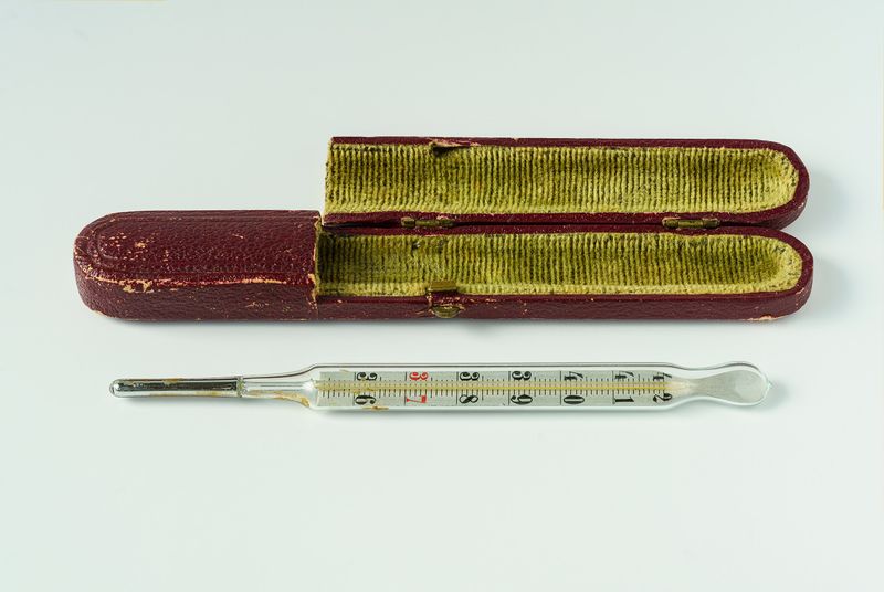 Mercury Thermometers