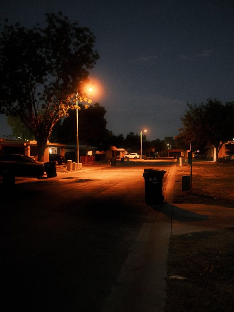 Playing Outside Until the Streetlights Came On