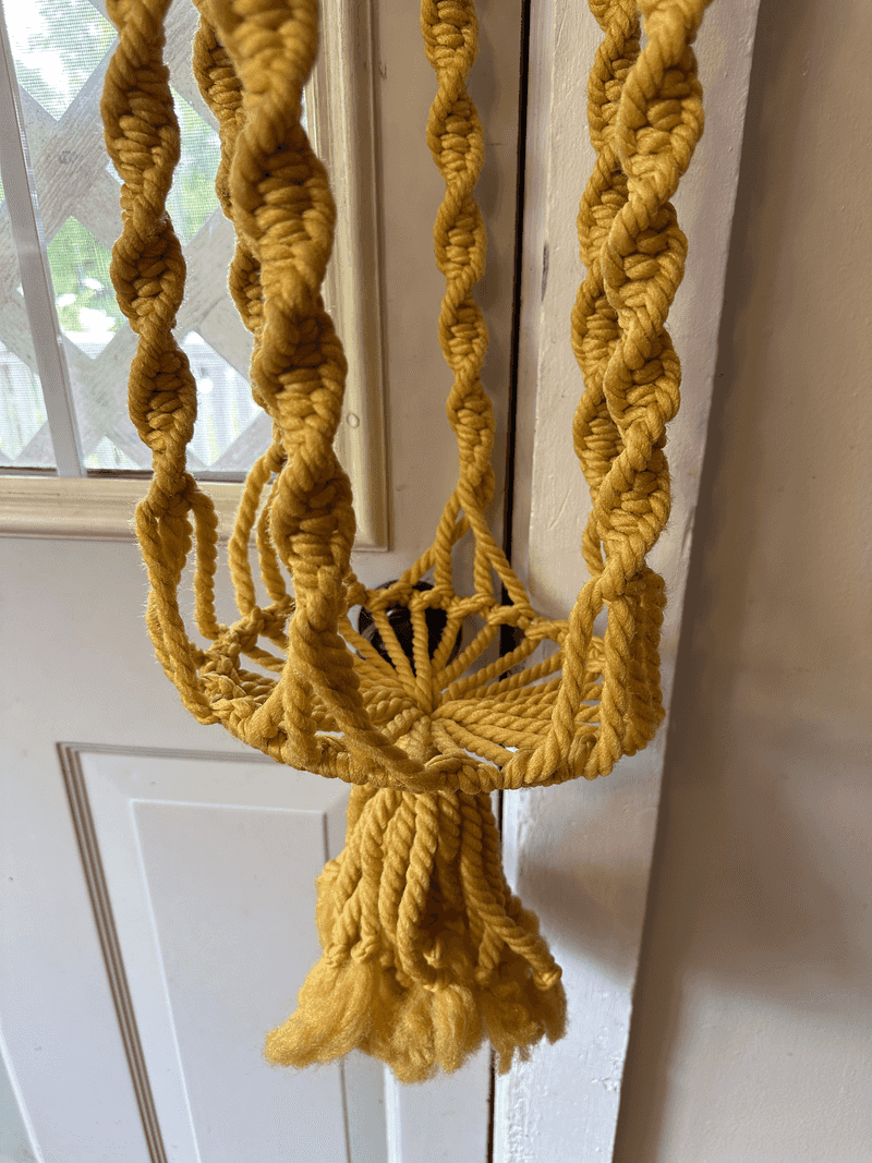 Macramé Plant Hangers Everywhere