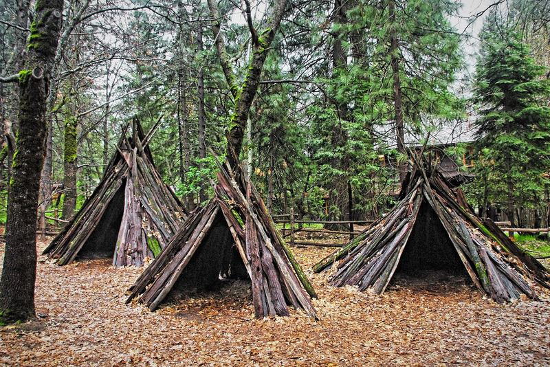 Bark House