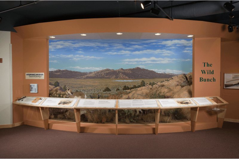 Diorama-Filled Visitor Centers