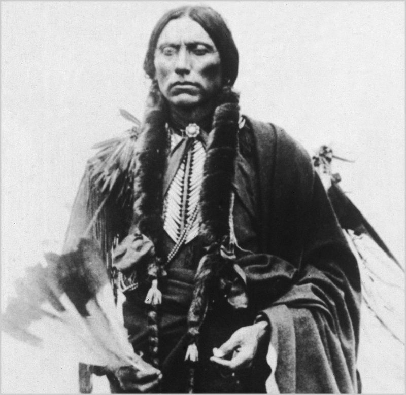 A Few Became Comanche by Choice