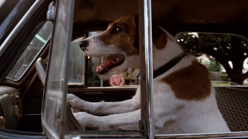 My Dog Skip (2000)